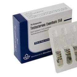 Testosterone Enanthate 250, 10 Ampullen (Testosteron-Enantat)