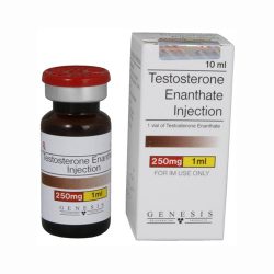 Testosterone Enanthate Injection (Genesis)